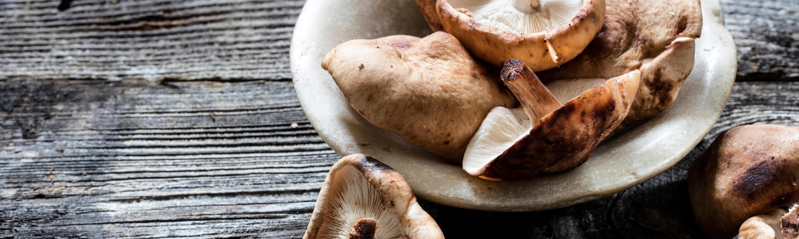 Why you should be including medicinal mushrooms in your diet