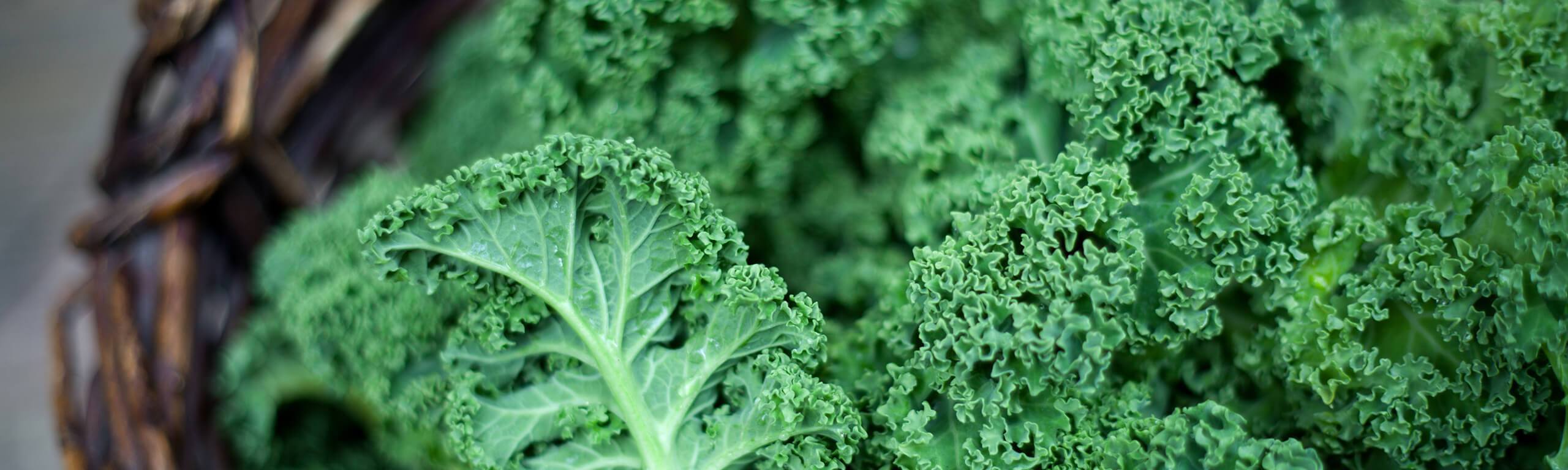 What is the difference between synthetic Folic acid and natural folate in pregnancy (vitamin B9)?