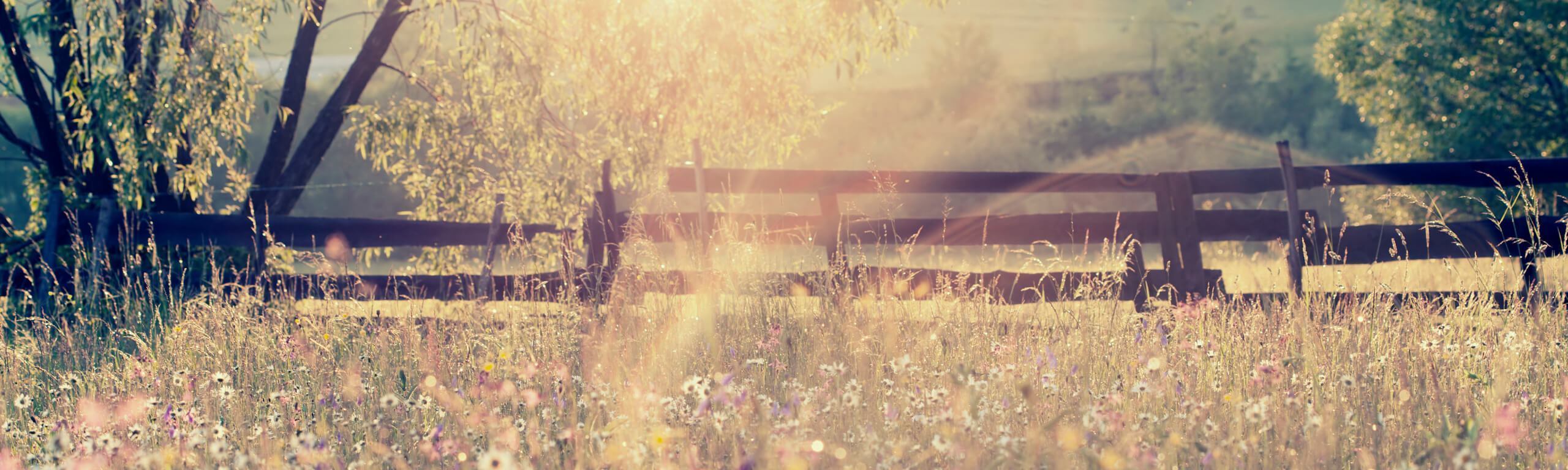 Five healthy ways to get set for summer