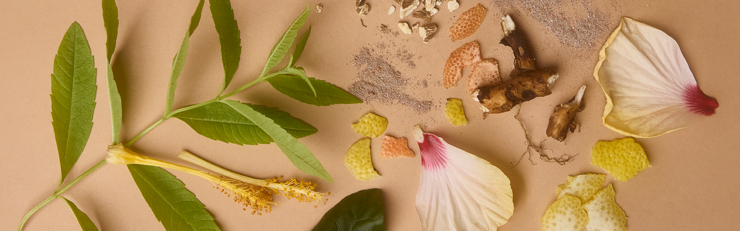 Metabolaid® scientific studies