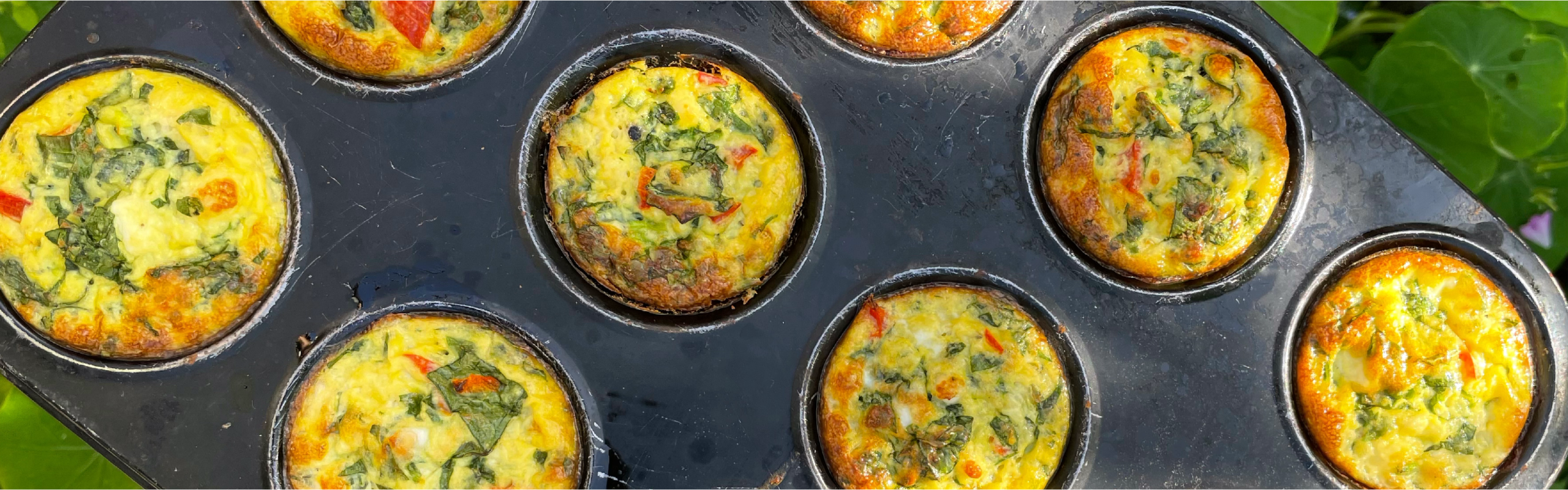 Spinach & cottage cheese bites recipe