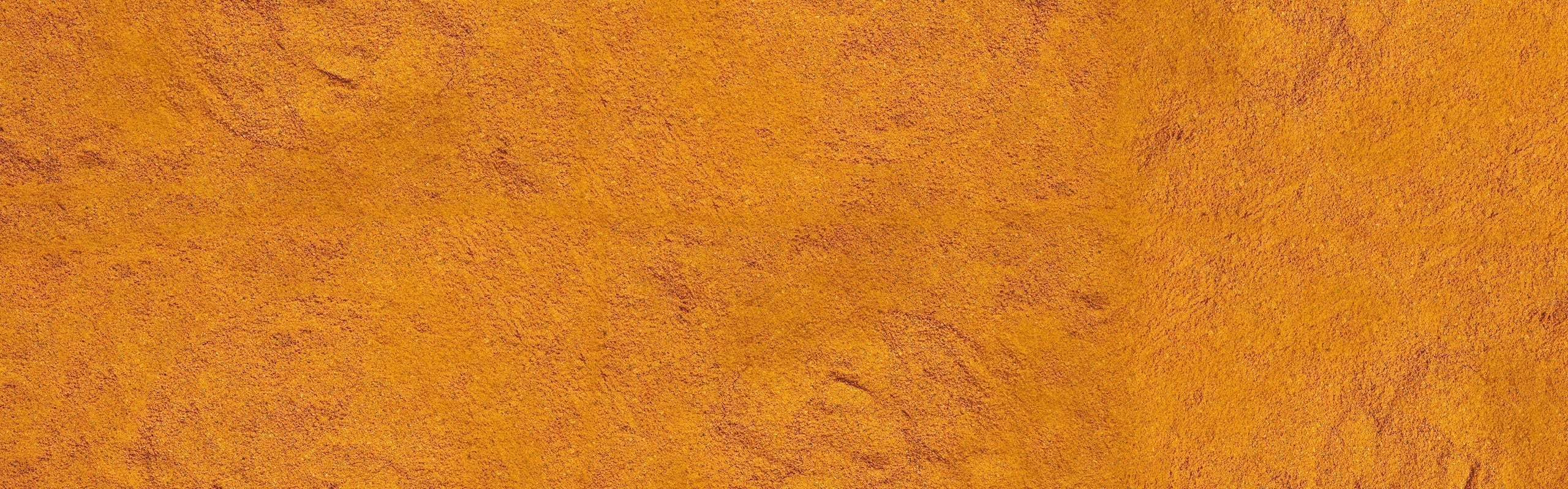 Organic TurmaForteTM Turmeric