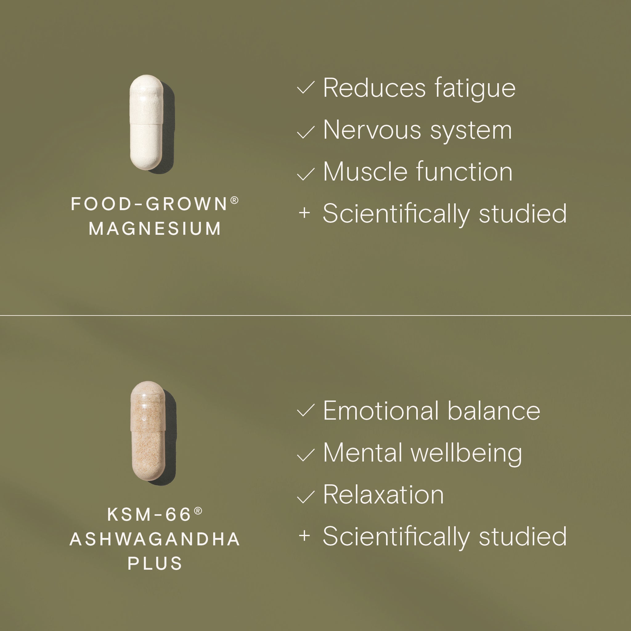Food-Grown Magnesium and KSM-66 Ashwagandha capsules with benefits for relaxation and mental wellbeing.