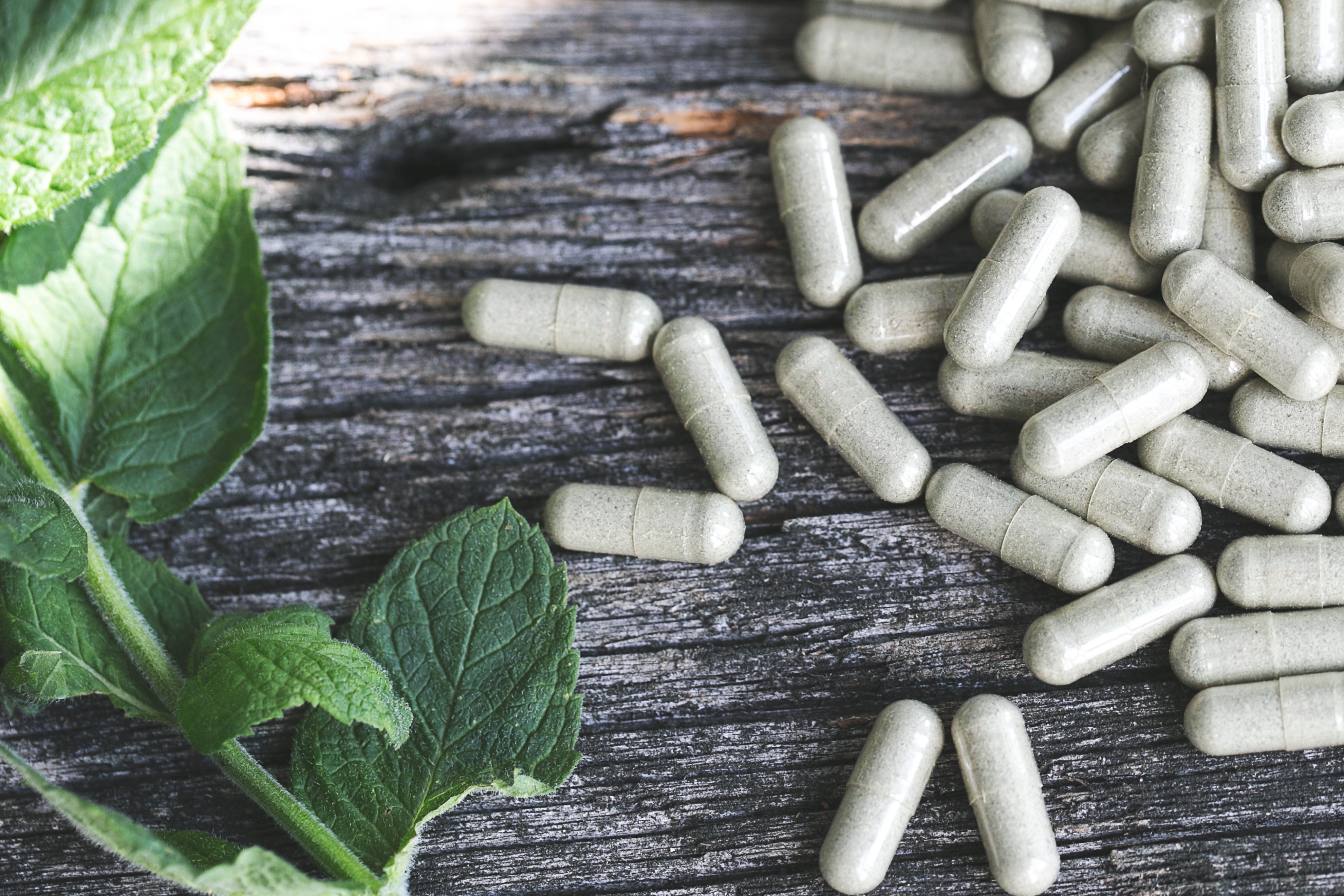 How we make our food supplements | Wild Nutrition