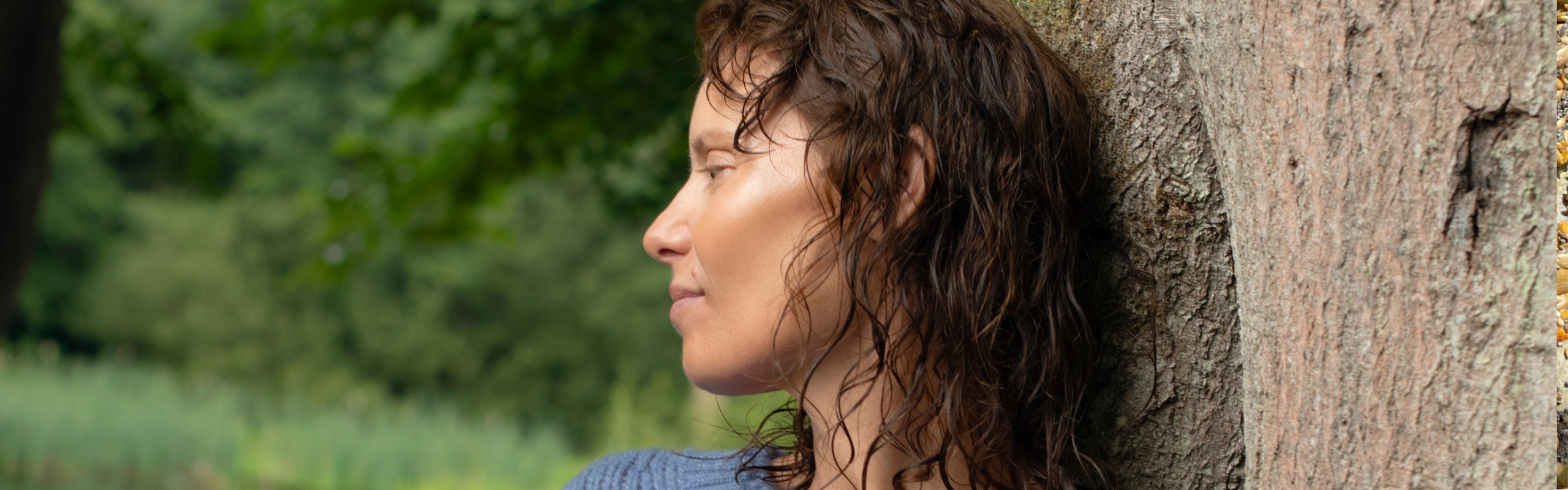 5 wisdoms shared in perimenopause