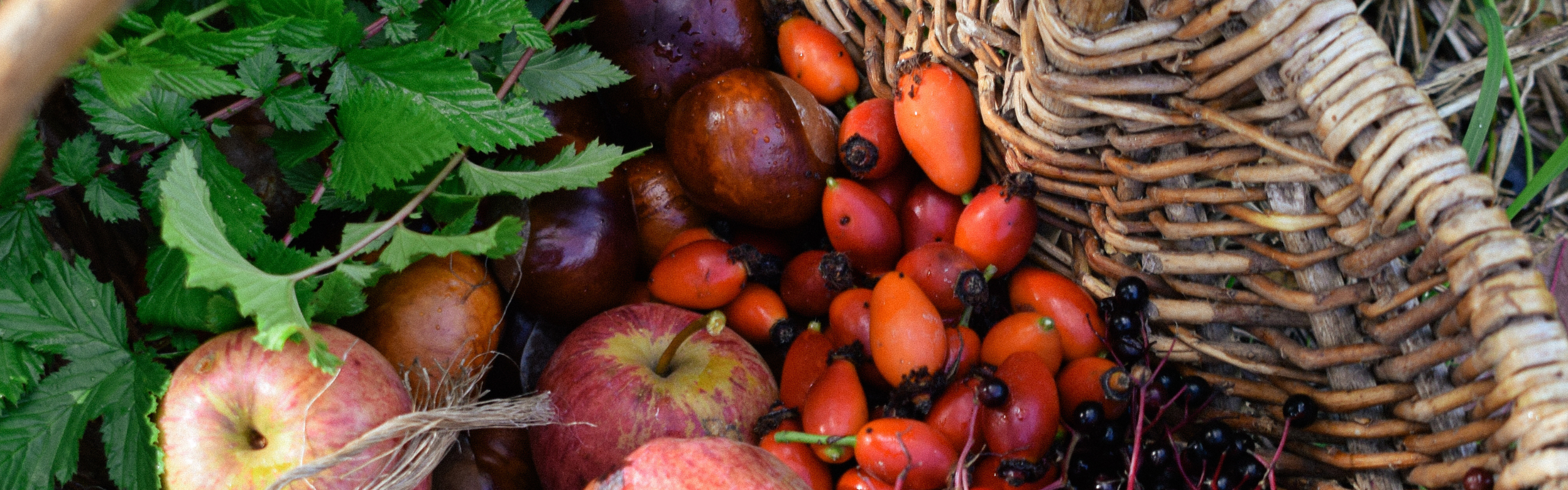 Mother Nature’s medicine: Poppy’s rosehip syrup