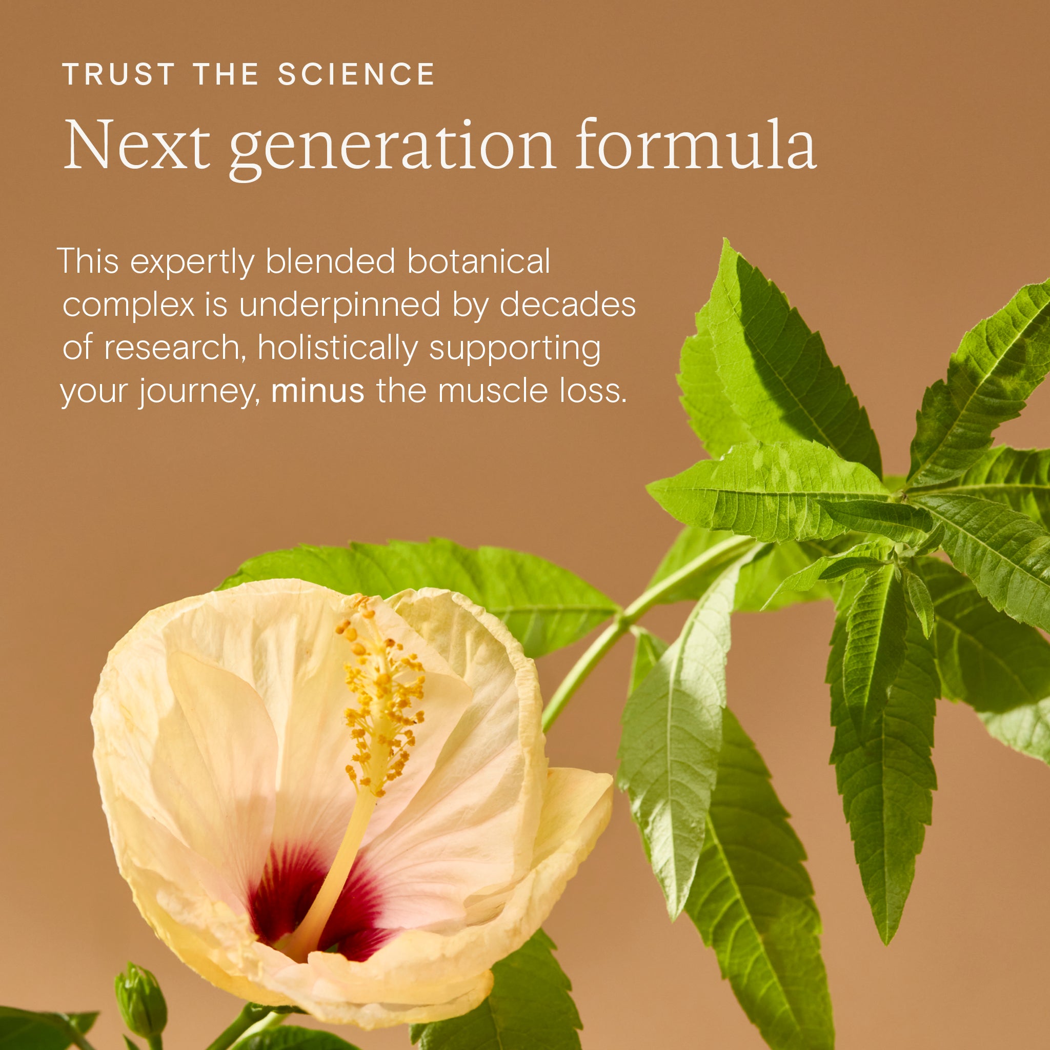 Botanical weight management support