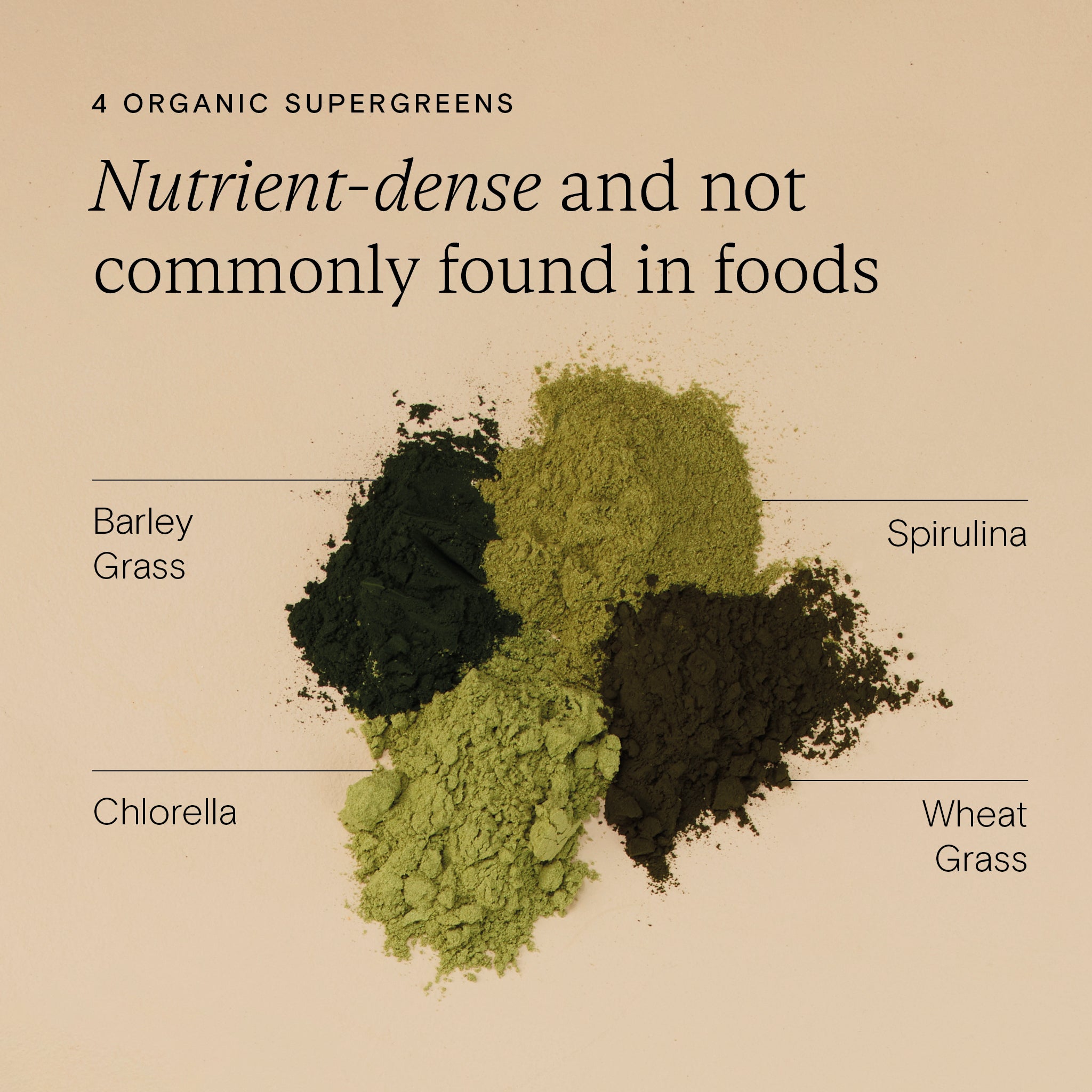 Organic supergreens: Barley grass, Spirulina, Chlorella, and Wheat grass, highlighting their nutrient density.
