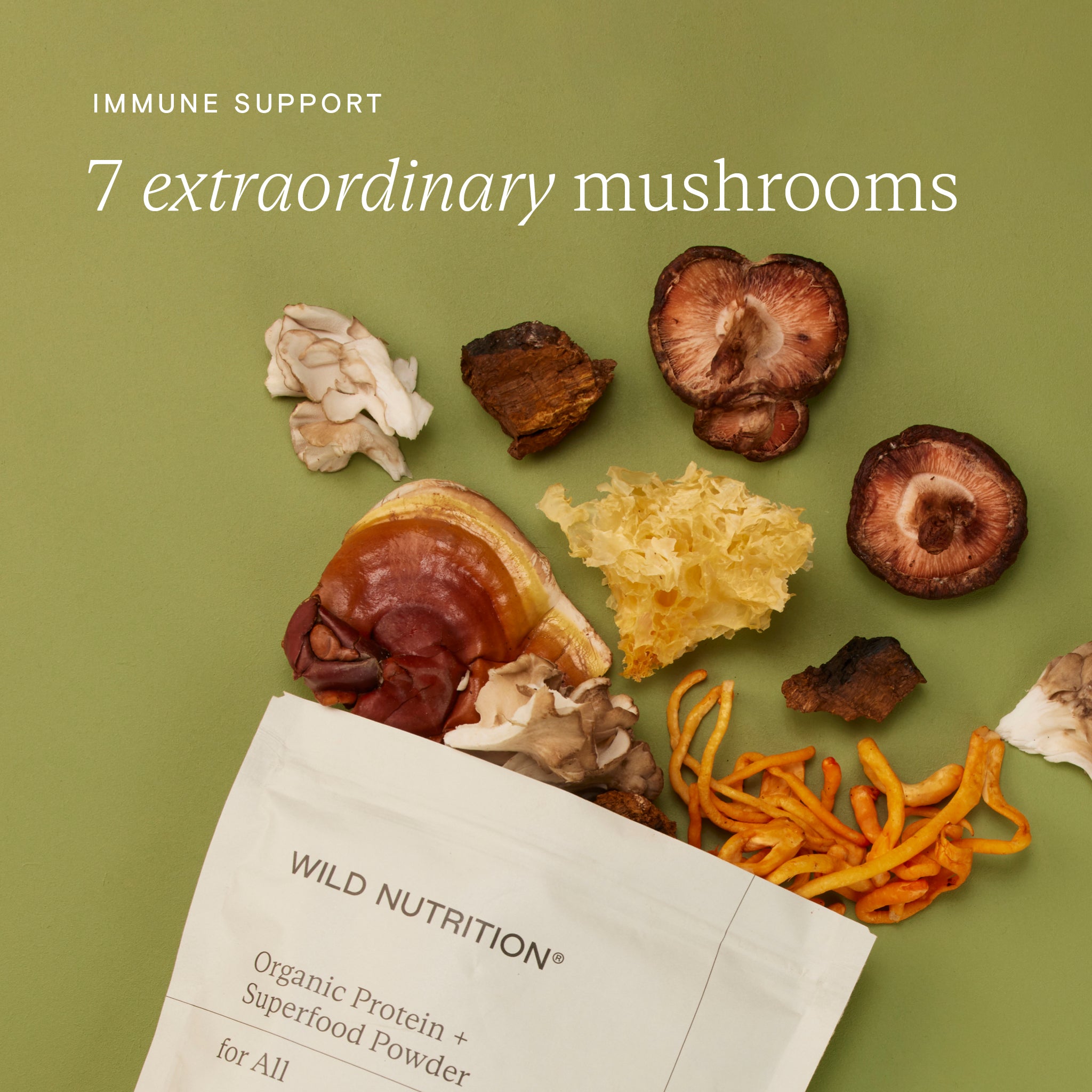 Image of 7 extraordinary mushrooms and Wild Nutrition organic protein powder for immune support.