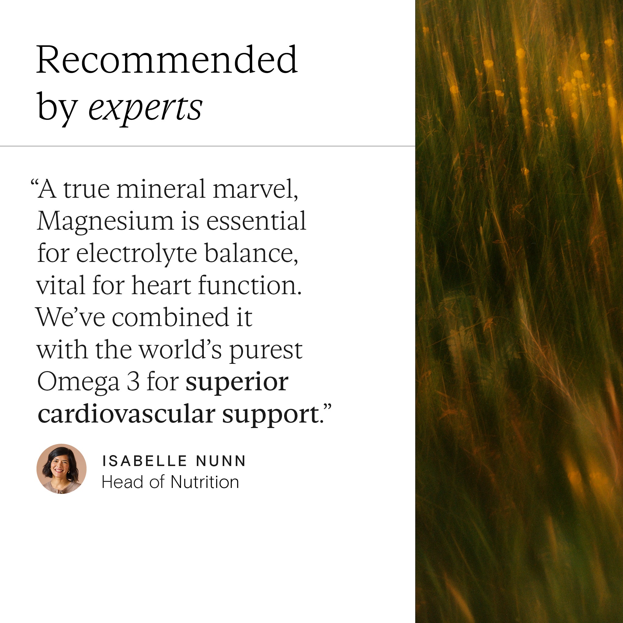 expert nutrition advice highlighting the benefits of Wild Nutrition Magnesium and Omega 3 for electrolyte balance and superior cardiovascular support.