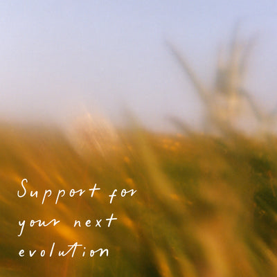 Empowering menopause support message ‘Support for your next evolution’ on soft natural background