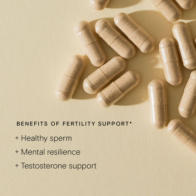 Men's Fertility Duo capsules showcasing benefits: healthy sperm, mental resilience, testosterone support.